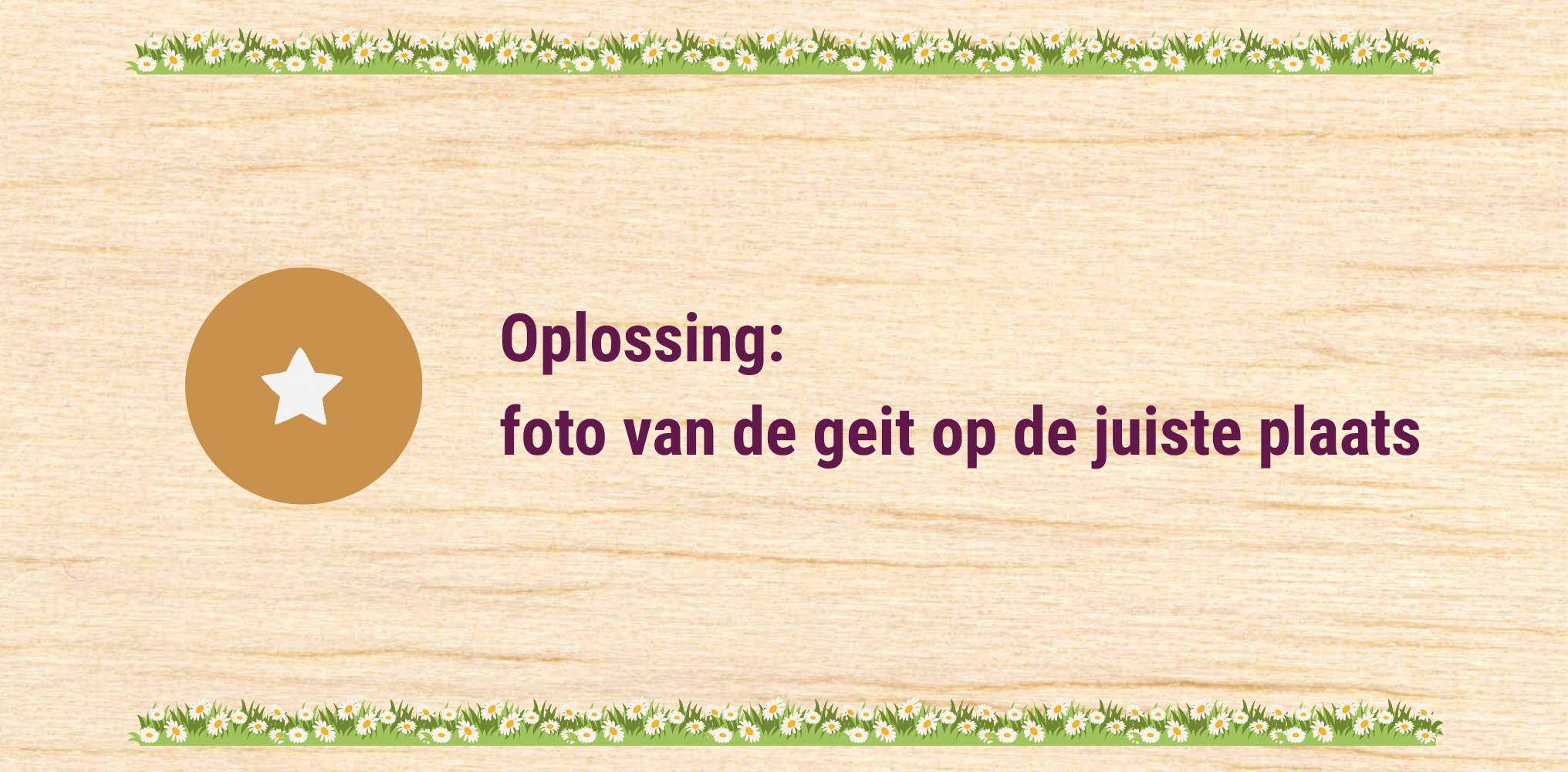 De geit - oplossing 1