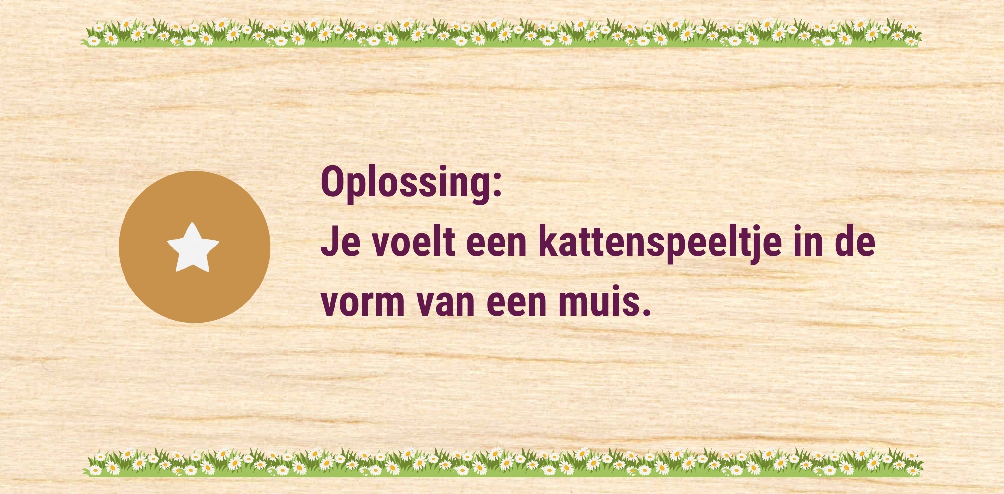 De kat - oplossing 1