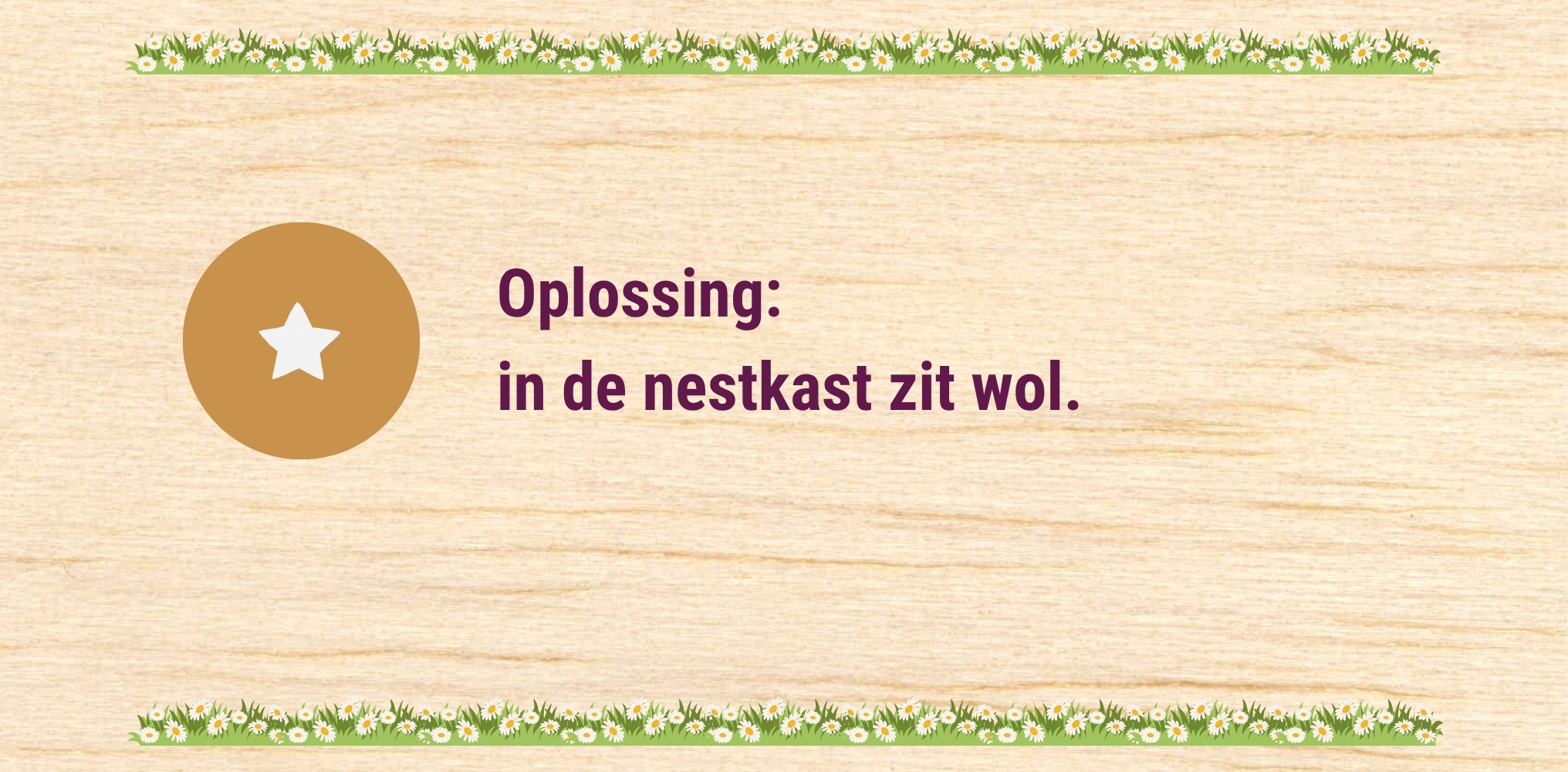 Oplossing 3 - Het schaap