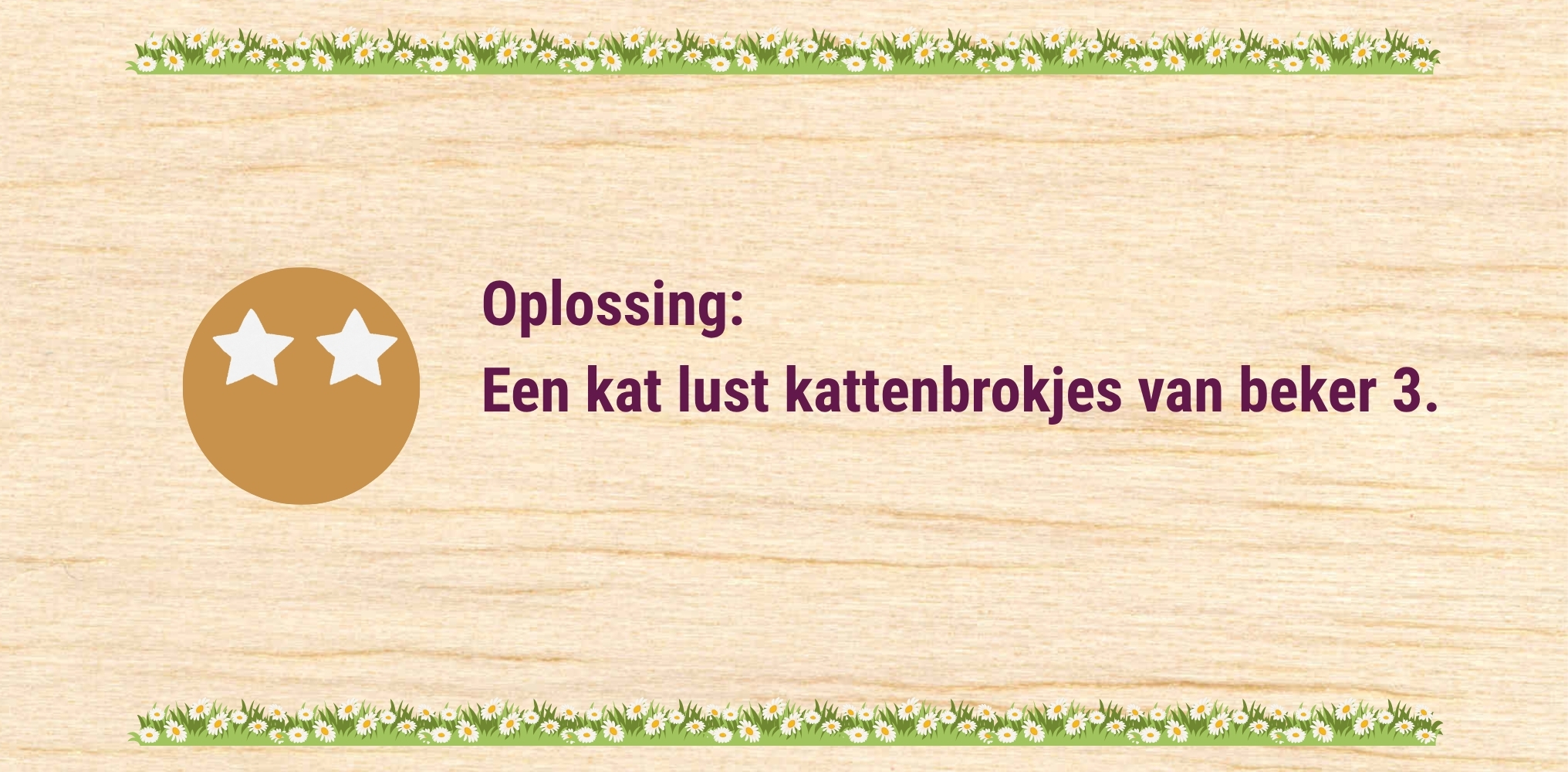 De kat - oplossing 2