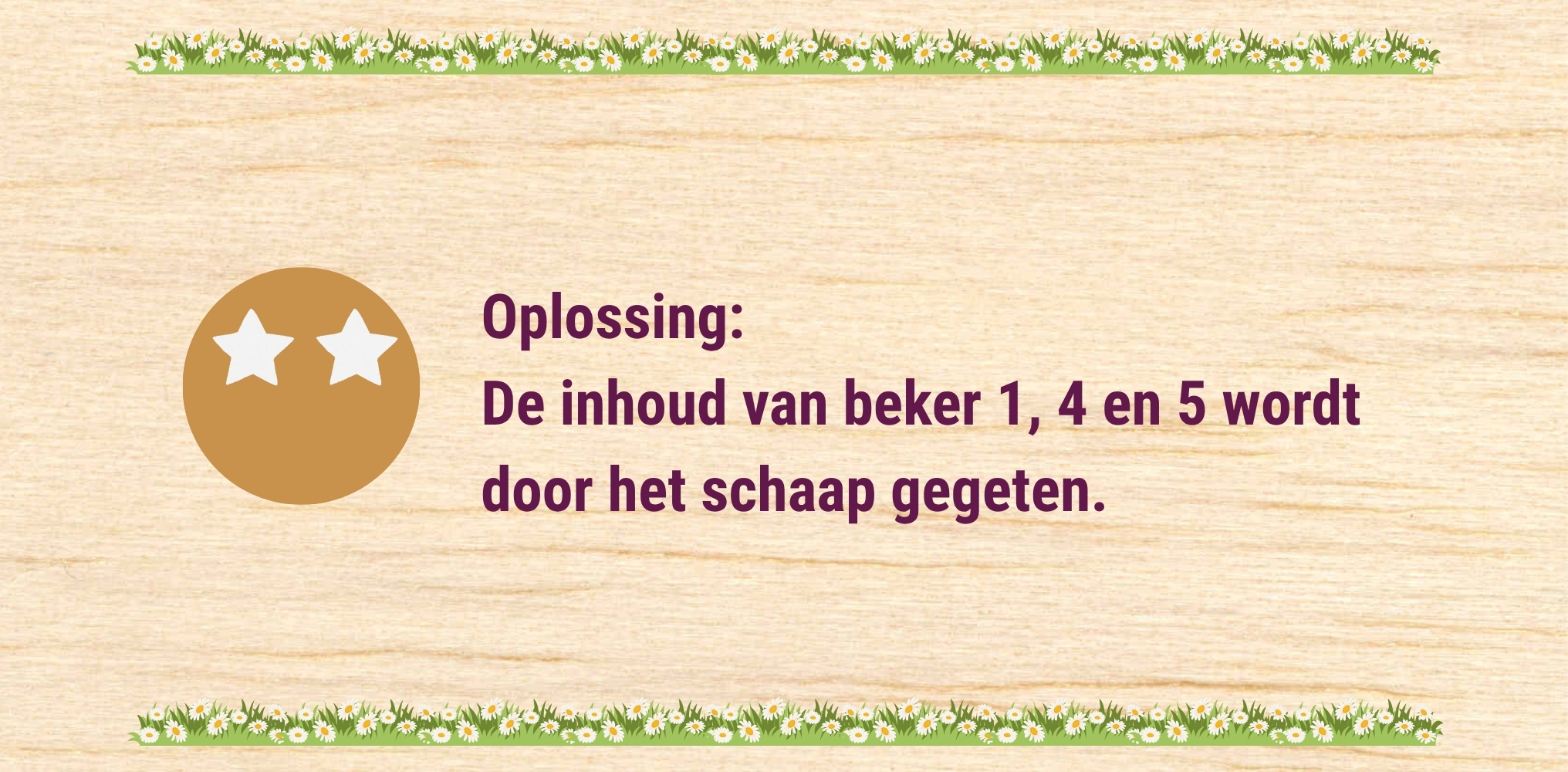 Oplossing 2 - Het schaap