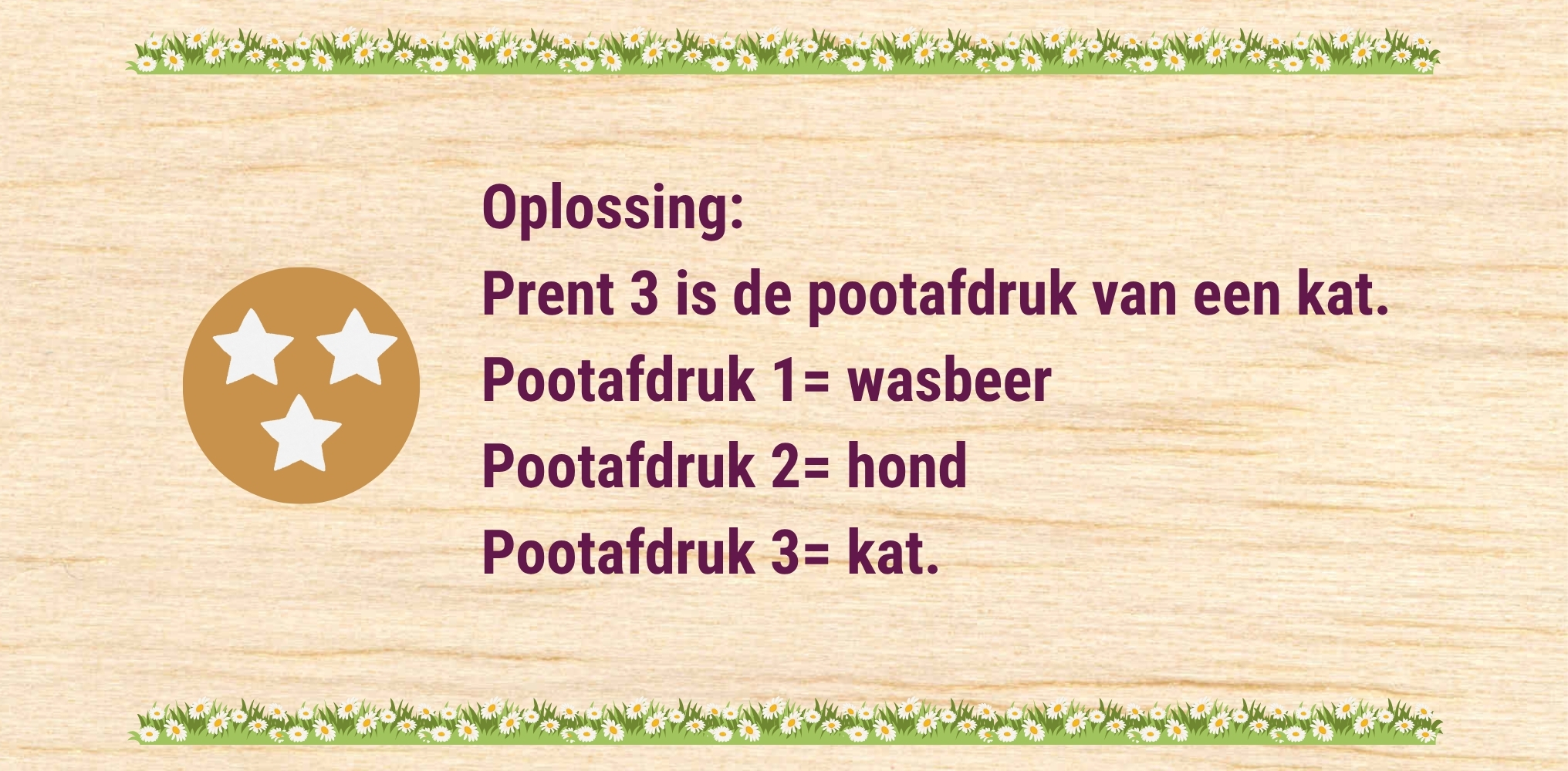 De kat - oplossing 3