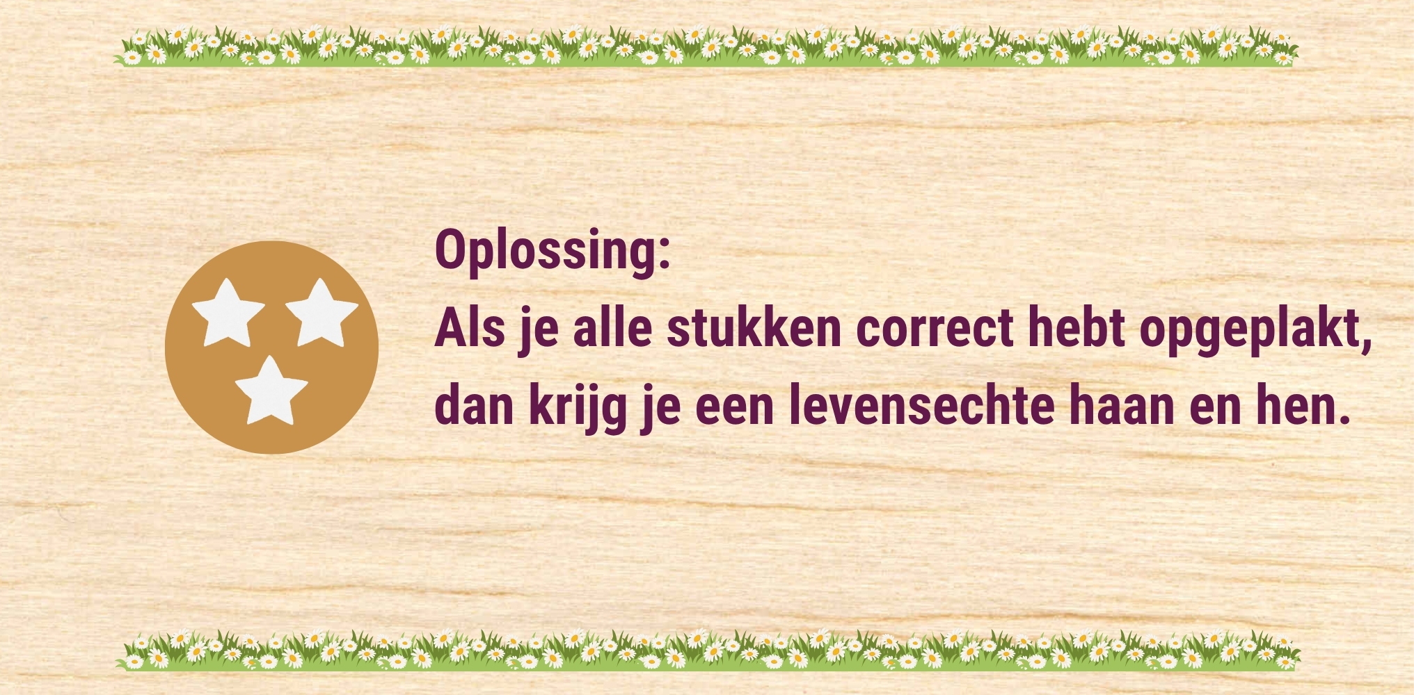 De kip - oplossing 3