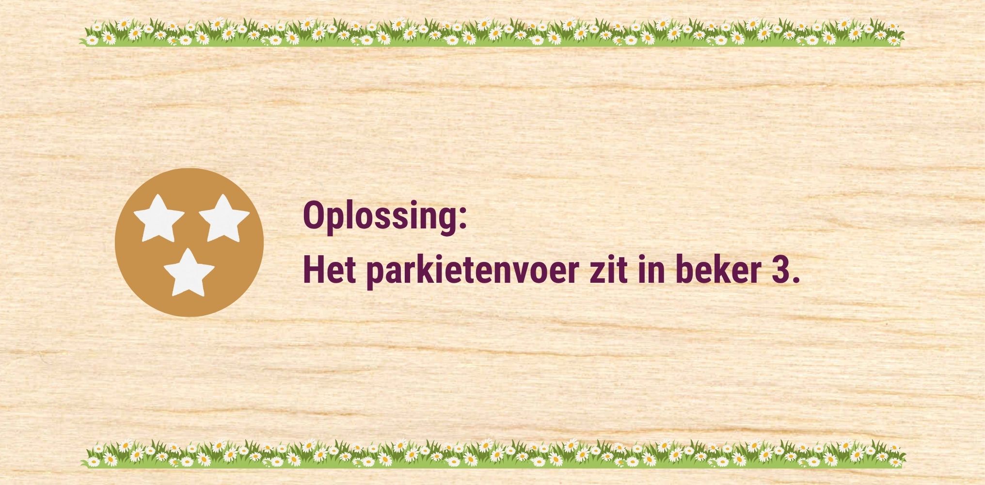 Parkiet - oplossing 3