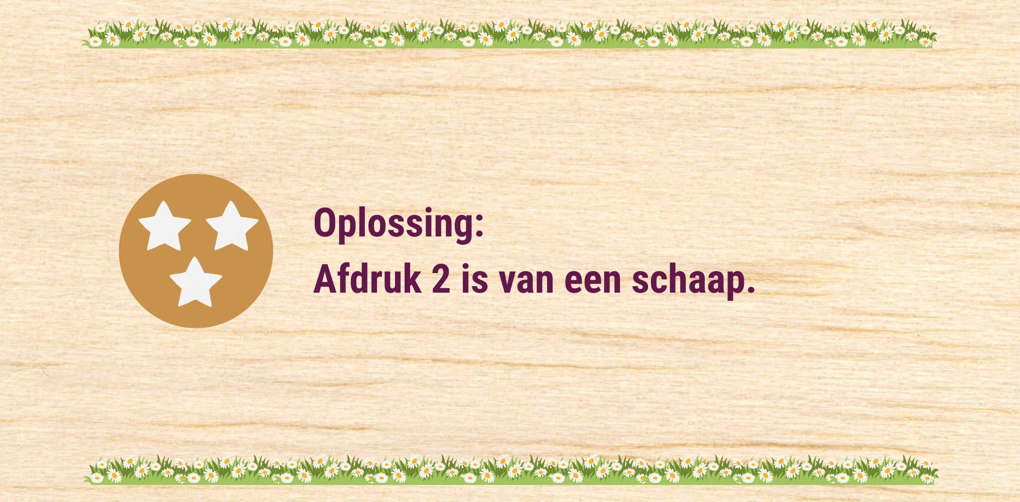 Oplossing 1 - Het schaap