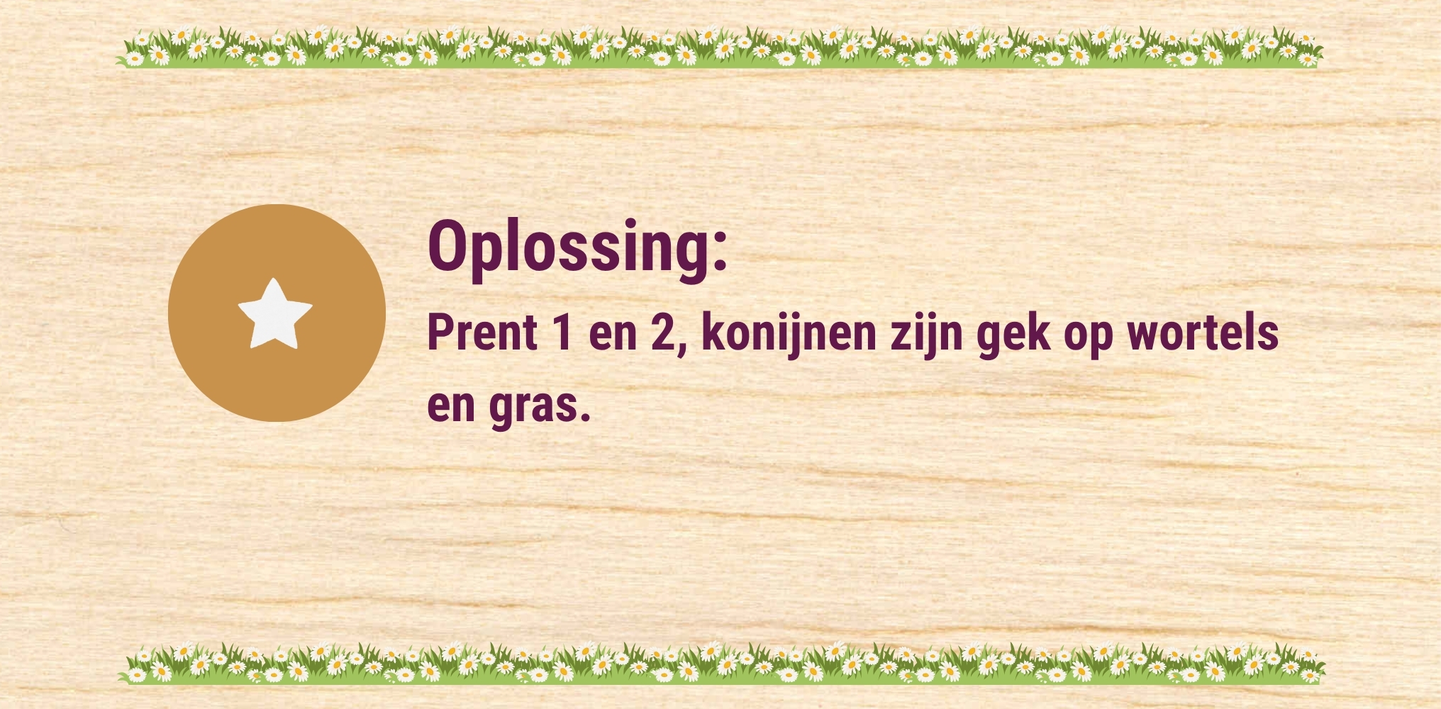 Oplossing 1