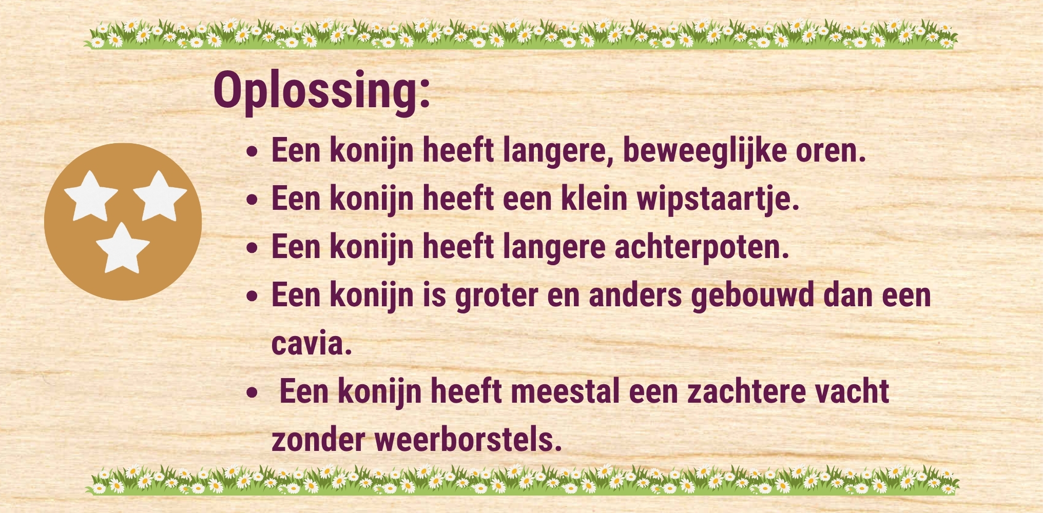 Oplossing 3