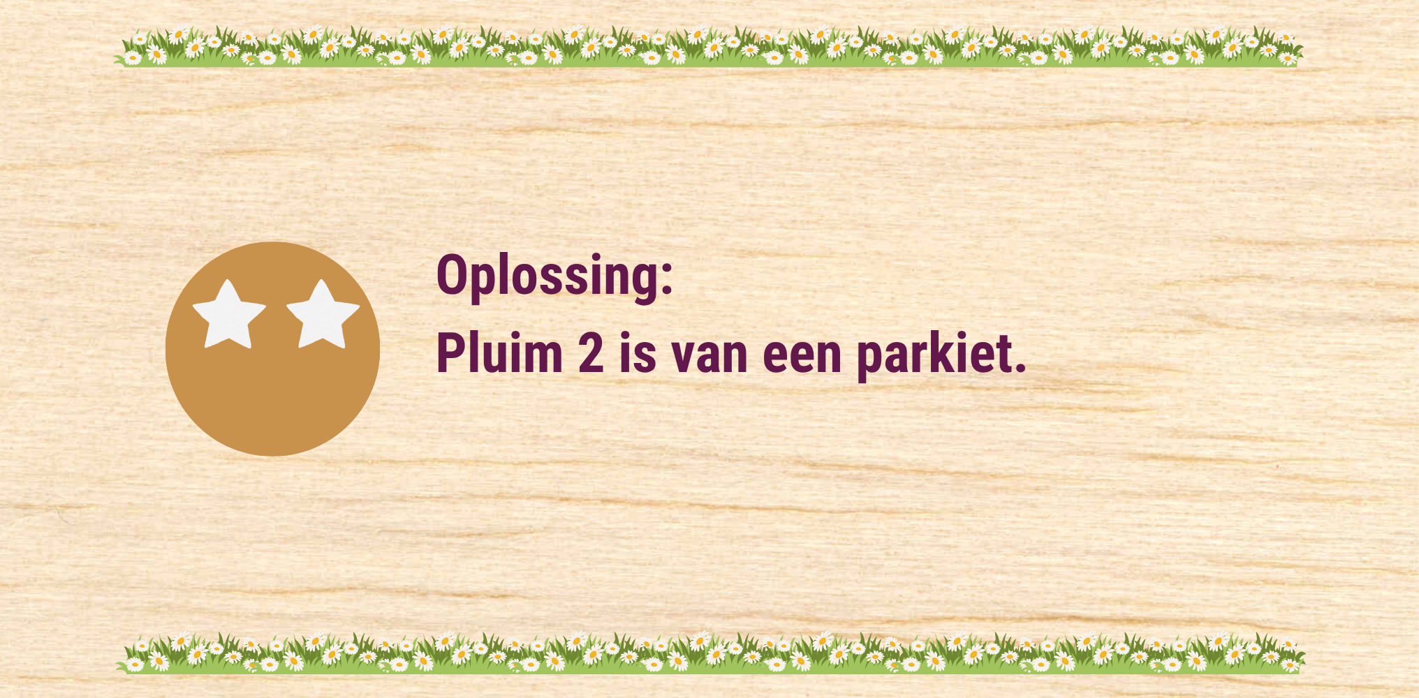 Parkiet - oplossing 2